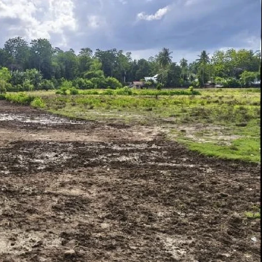 PCNU Pidie Minta Pemerintah Segera Selamatkan Sawah Petani Pascabanjir