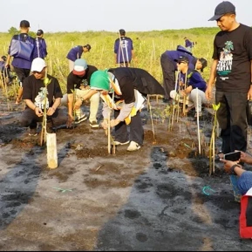 Hari Santri 2023, PBNU Tanam Ribuan Mangrove di Pantai Permata Kota Probolinggo