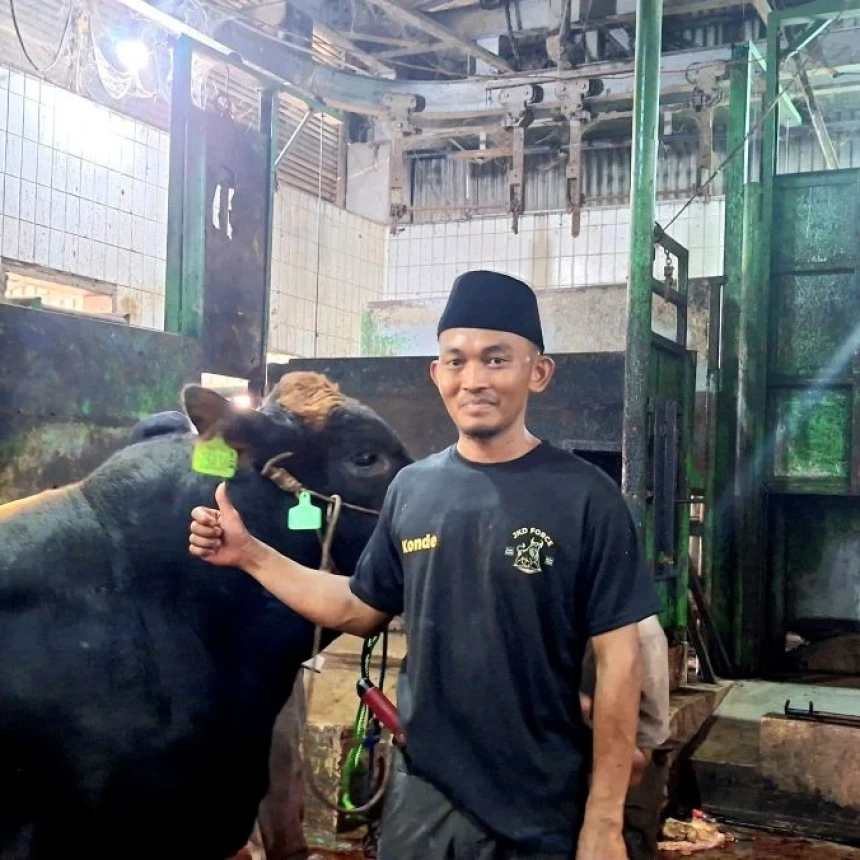 Ikut Pelatihan Juleha Jadi Kunci Tangani Hewan Kurban Selama Penyembelihan
