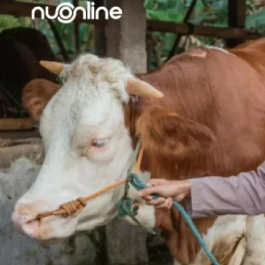 Hikmah Sosial Keharaman Puasa pada Hari Raya Idul Adha dan Hari Tasyrik