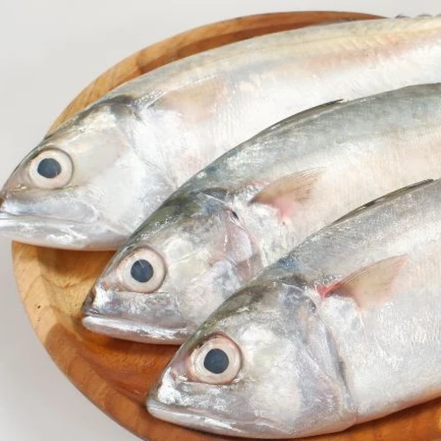 Ikan Baru Ditebar Langsung Ditangkap Warga: Apakah Halal?