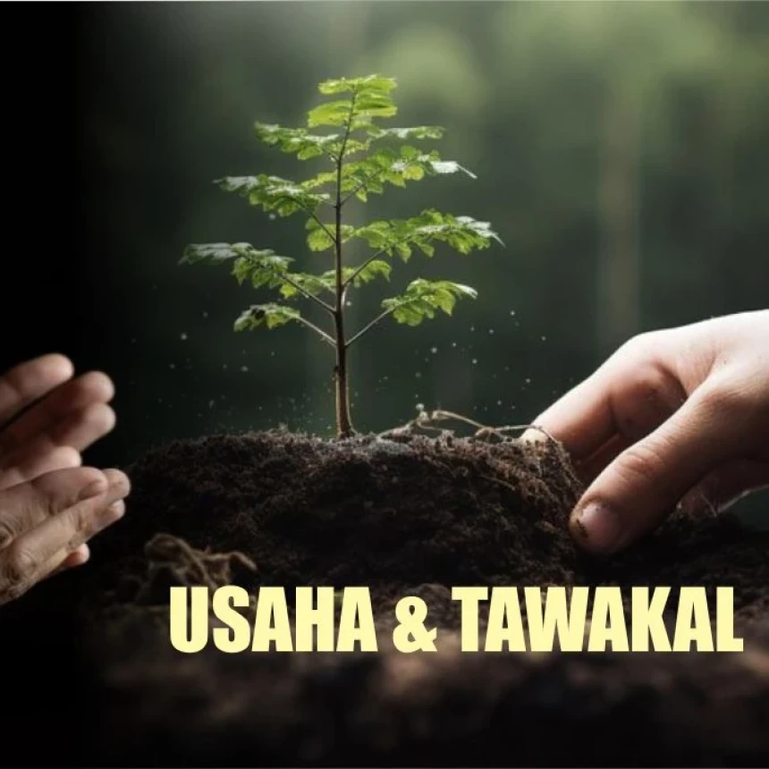 Khutbah Jumat: Proporsional antara Usaha dan Tawakal