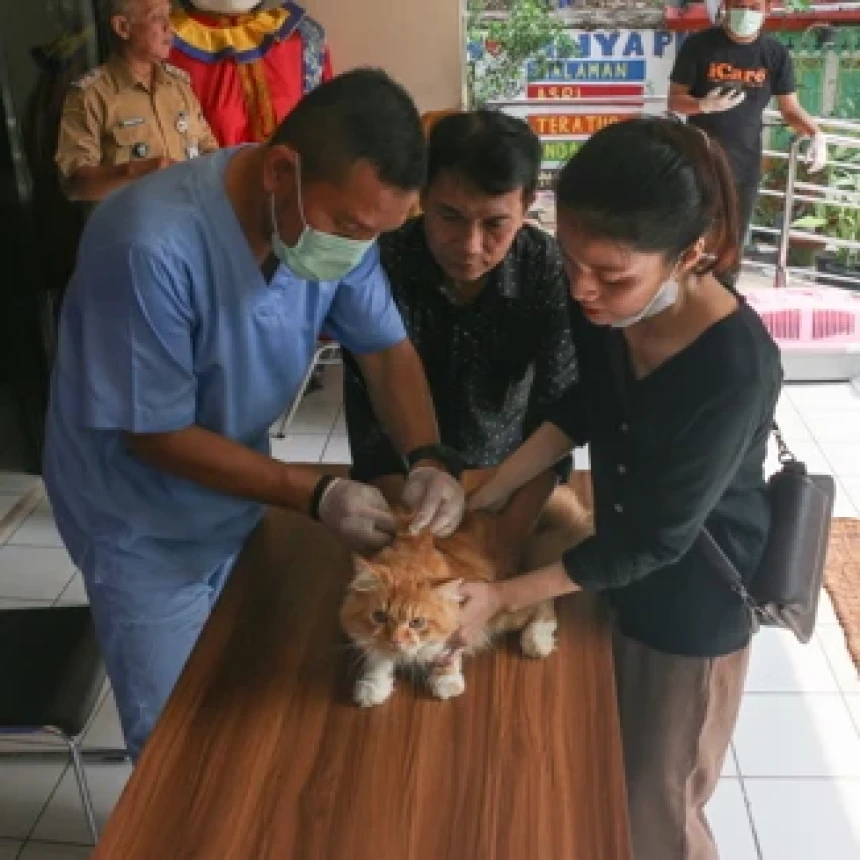 Menjaga Kesehatan Hewan Peliharaan melalui Vaksinasi Rabies
