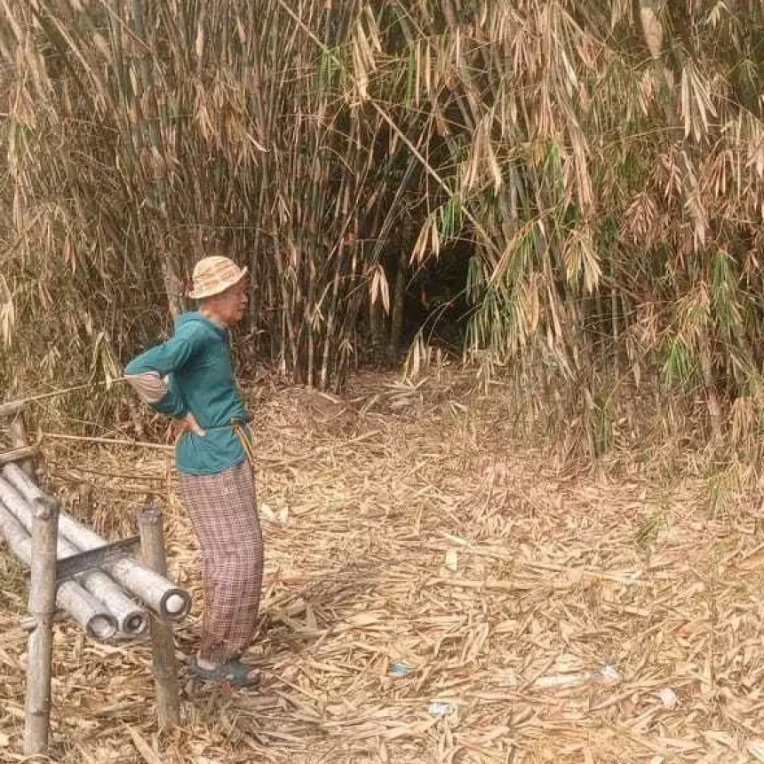 Tiga Bulan Dilanda Kekeringan, Warga Cibarusah Keluhkan Gagal Panen dan Sulit Air Bersih
