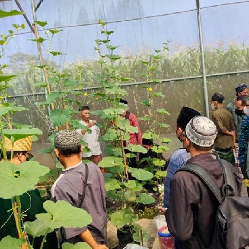 RMI PCNU Klaten Gandeng FKPP, Bekali Pesantren Budi Daya Mentimun untuk Kemandirian Pangan