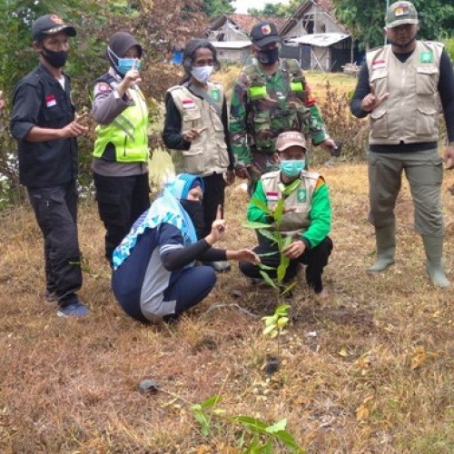 Pelajar NU Gandeng LPBINU Ponorogo Tanam Ratusan Pohon