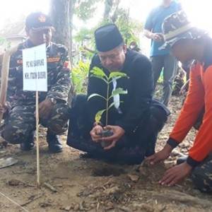 Ketua NU Sampang Imbau Nahdliyin Tanam dan Rawat Pohon