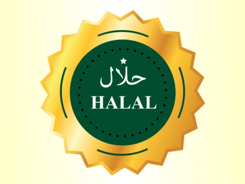 UI dan BPJPH Kemenag Bersinergi dalam Penguatan SDM Halal
