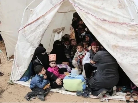 UNHCR: 117,3 Juta Orang di Dunia Mengungsi Secara Paksa