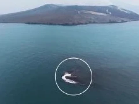 Ada Daratan Baru di Sekitar Anak Krakatau, Ini Penjelasan BMKG