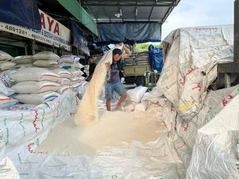 Harga Beras di Pasar Induk Cipinang Tetap Stabil Meski Harga Gabah Kering Turun
