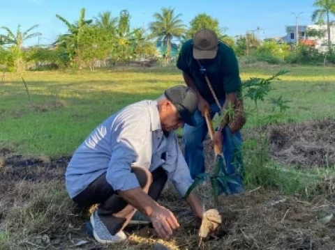 PWNU Papua Barat Luncurkan Program NU Hijau: Satu Pohon, Seribu Harapan untuk Wujudkan Lingkungan yang Asri