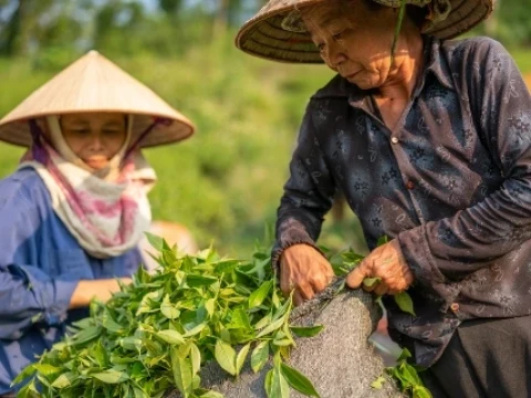 May Day 2026, SPI Dorong Pelaksanaan Reforma Agraria untuk Keadilan dan Kesejahteraan Petani dan Buruh
