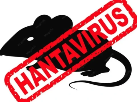 3 dari 23 Orang Terinfeksi Hantavirus di Indonesia Meninggal Dunia, PDNU: Perlu Penanganan Serius