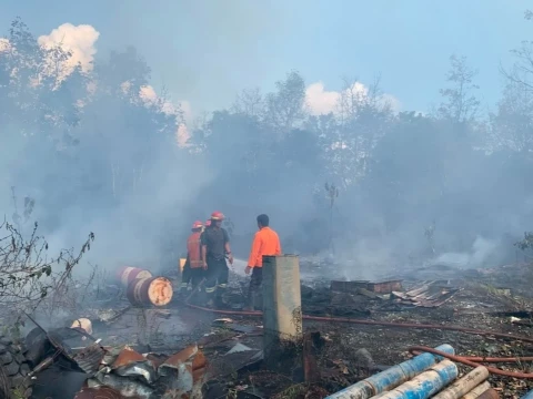 Kebakaran Hutan Meluas di 6 Provinsi, BNPB Tekankan Daerah Perkuat Kesiapsiagaan