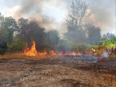 Karhutla Terus Berulang, 6 Provinsi Terdampak dan Puluhan Hektare Lahan Hangus