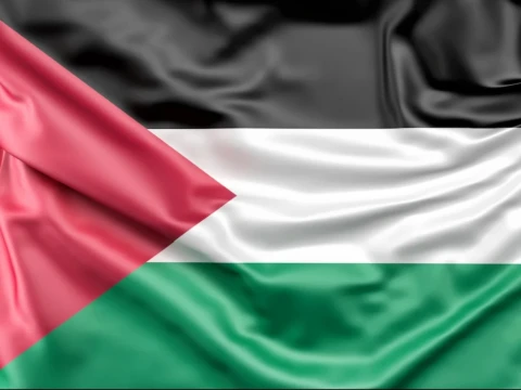Indonesia dan 7 Negara Kecam Rencana Pemindahan Warga Palestina dari Gaza
