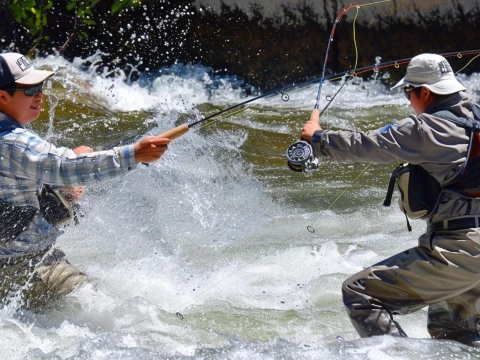 Hukum Lomba Mancing Berbayar di Kolam