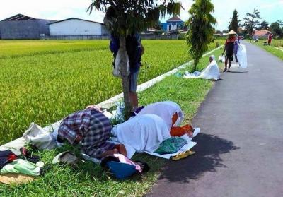 Tamparan Petani Desa untuk Pejuang Formalisasi Syariat
