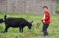 Qurban dan Gagasan Gerakan Aqiqahisasi