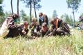 Peserta Perwimanas II Lakukan Perawatan Pohon di Taman Nasional Gunung Merapi