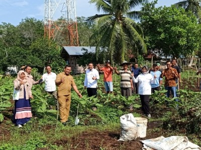 34 Hektare Lahan Gambut di Riau Direstorasi untuk Pertanian