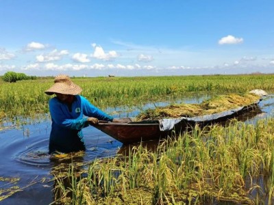 Salasiah, Pahlawan Keluarga Masa Kini dari Kalimantan Selatan