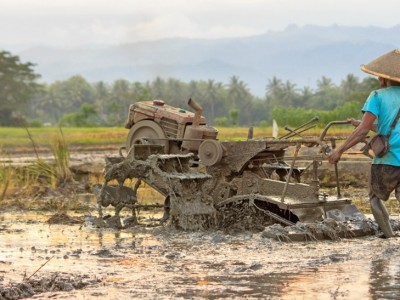 Akibat PPKM, Hasil Panen Petani Anjlok Hingga Rugi 80 Persen