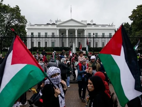 Warga Dunia Berbondong-bondong Bela Palestina: dari AS, Eropa hingga Indonesia