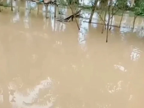 Banjir Kembali Rendam Aceh Utara, Ansor Minta Penanganan Serius