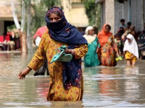 Banjir Pakistan: Kasus Demam Berdarah Melonjak, 3.830 Orang Terinfeksi