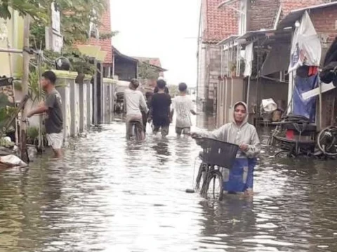 Selain Hilangkan Mata Pencaharian, Banjir Rob Pantura Jawa Picu Stres dan Penyakit Fisik