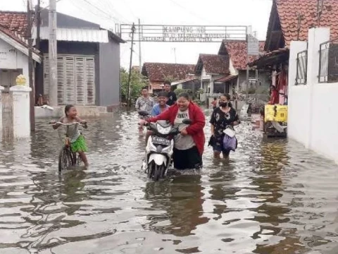 Penderitaan Warga Pesisir Pantura Jawa Harus Hadapi Banjir Rob Bertahun-tahun