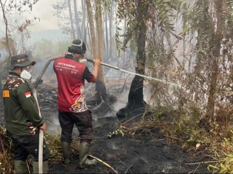 Data BNPB: 623 Hektare Lahan Terbakar di 11 Provinsi, Papua Selatan Terancam Asap Lintas Batas