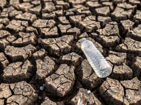 Walhi Peringatkan Ancaman El Nino Ekstrem, Picu Risiko Kekeringan dan Krisis Pangan