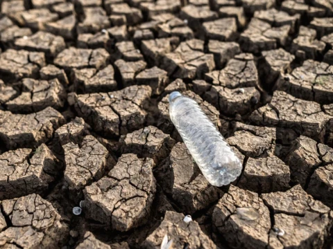 BMKG Prediksi El Nino Berlangsung hingga Setahun, Wilayah Selatan Berpotensi Dilanda Kekeringan