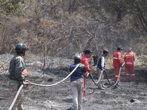 Usai 13 Hari Terbakar, Menhut Umumkan Gunung Bromo Dibuka Kembali 20 Agustus