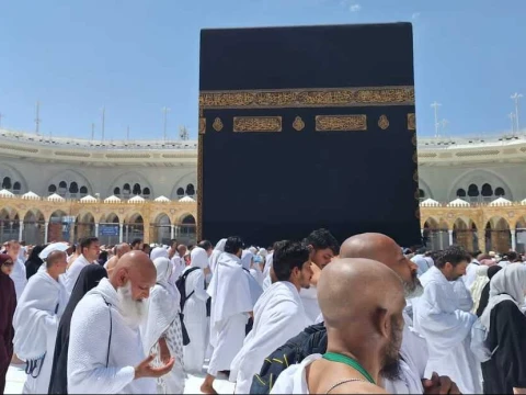 Petugas Haji Verifikasi Berkas 25 Jamaah yang Sakit untuk Tanazul atau Pemulangan Dini