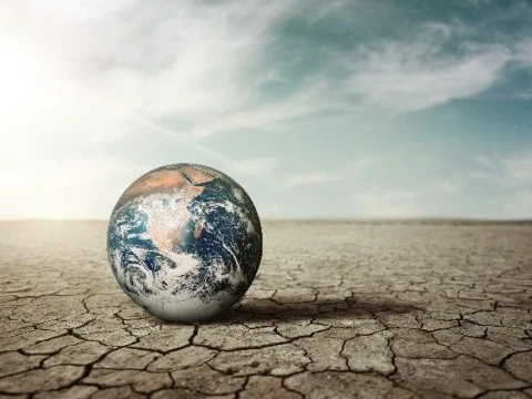 BRIN Sebut Ekosistem Padang Lamun Terancam, Pesisir dan Iklim Global Terpapar Risiko