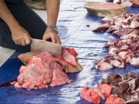 Ahli Gizi Bagikan Tips Bersihkan dan Simpan Daging Kurban Tanpa Takut Kontaminasi Bakteri 