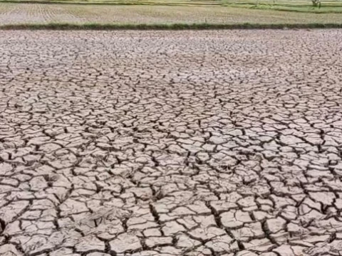 8 Tahap, 243,5 Ribu Liter Air Bersih Disalurkan LAZISNU Cilacap Bantu Warga Terdampak Kekeringan