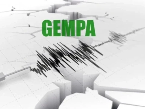 BMKG Sebut 1.624 Gempa Bumi Susulan Flores, Warga Terdampak Alami Trauma