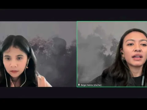 Greenpeace Temukan 6.811 Titik Asap Karhutla, Papua Jadi Episentrum Baru