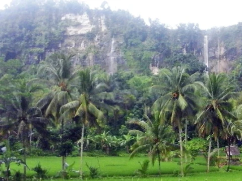 Pemerintah Didorong Ubah Alih Fungsi Hutan Produksi di Sukabumi Selatan Jadi Hutan Lindung