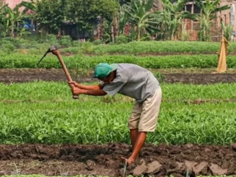 Konflik Agraria dalam Pandangan Fiqih: Bolehkah Pemerintah Mengambil Tanah Rakyat?
