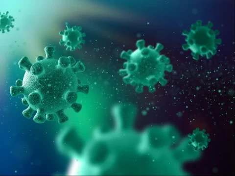 Ketua DPR RI Minta Pemerintah Tak Anggap Remeh Ancaman Hantavirus