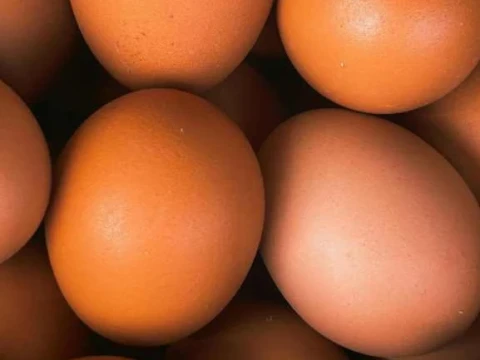 Kajian Fiqih: Apakah Telur Harus Dicuci Sebelum Dimasak?