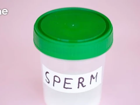 Donor Sperma, Apakah Diperbolehkan dalam Islam?
