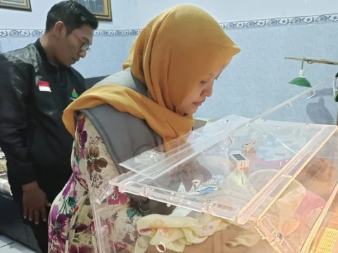 Dana Kotak Amal Makam Gus Dur Dimanfaatkan untuk Beli Inkubator dan Dipinjamkan Gratis kepada Masyarakat