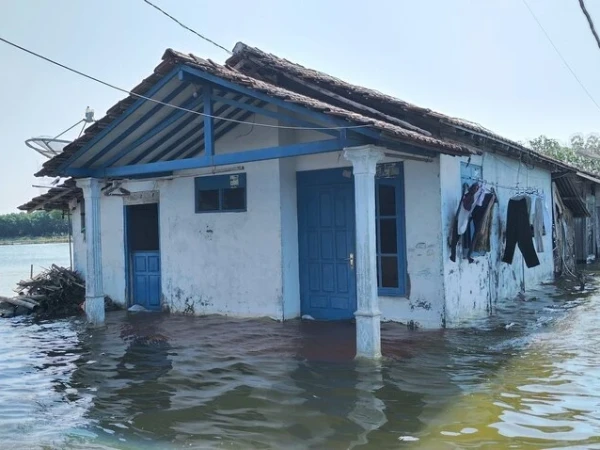 Puluhan Rumah Terendam Akibat Banjir Rob di Pati